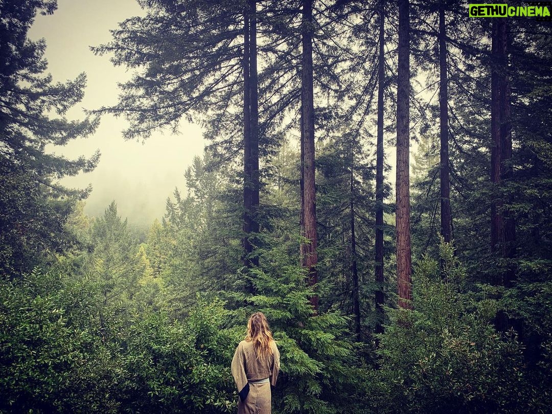 Beau Garrett Instagram - Roots Guerneville, California