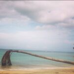 Beau Garrett Instagram – Elle que camina con mariposas Punta Bonita