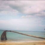 Beau Garrett Instagram - Elle que camina con mariposas Punta Bonita