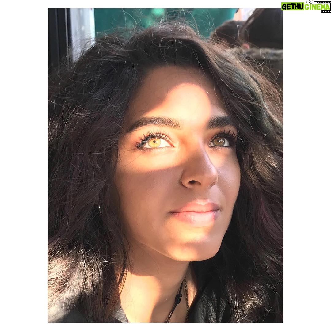 Begüm Akkaya - 5.8K Likes - 🌞🍀@cansutosun