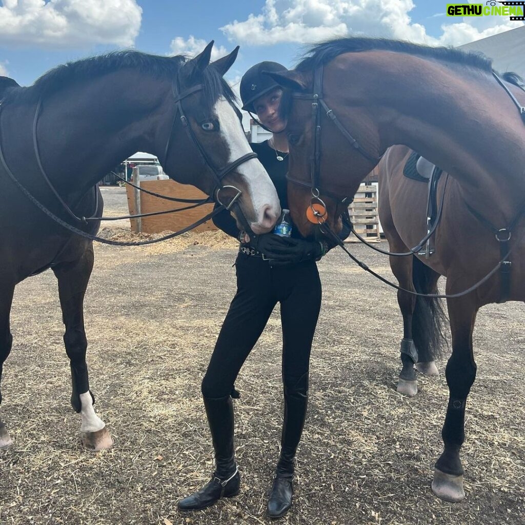 Bella Hadid Instagram - My little flying mare, Amira 🤍👼🤍 Wellington International
