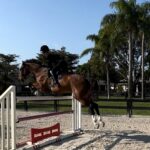 Bella Hadid Instagram - Thank you to all the great trainers and people who allowed me to ride their incredible horses🙏🏽 And my Lucy , Blue , Ami 🤍 I love these animals Wellington International