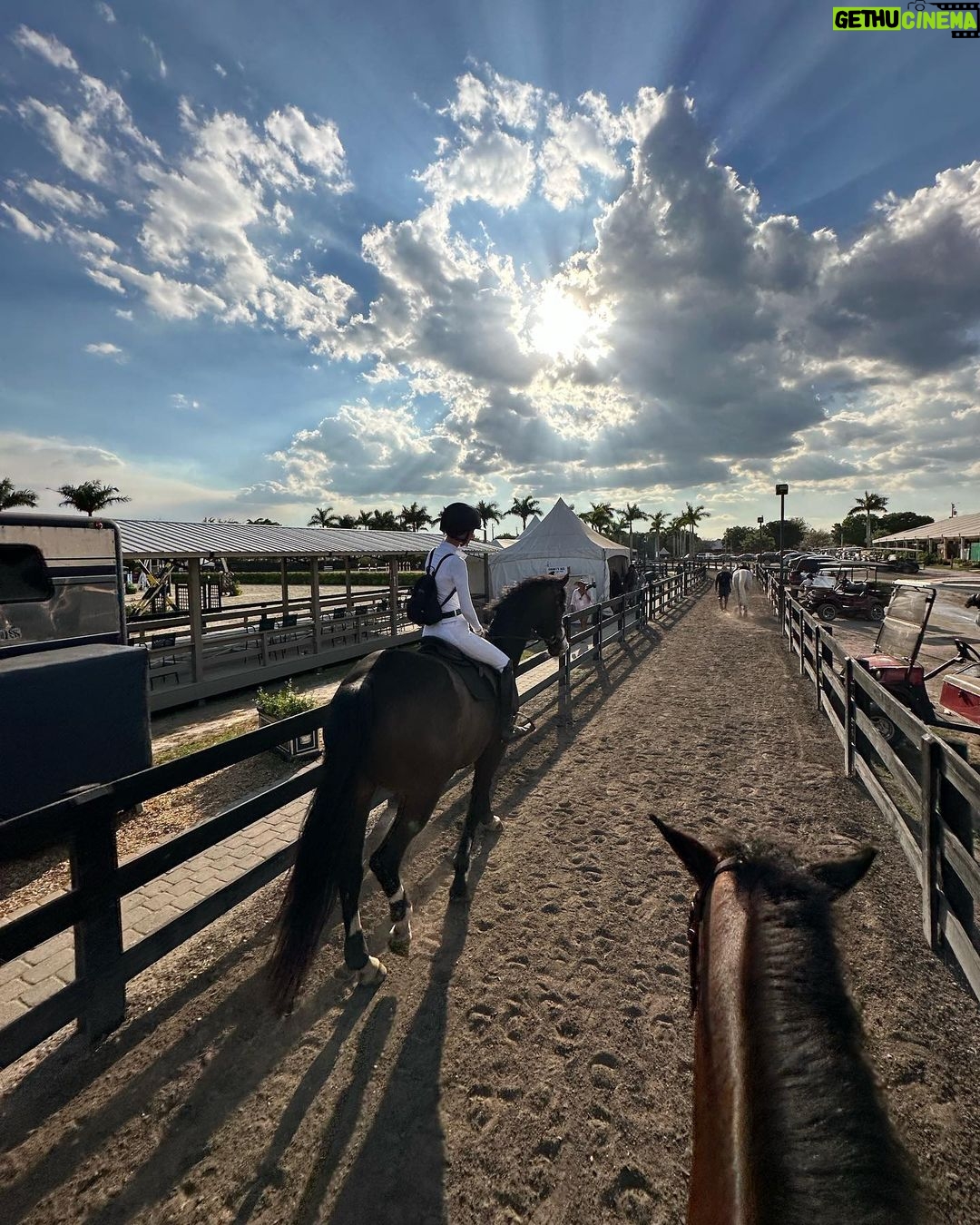 Bella Hadid Instagram - Thank you to all the great trainers and people who allowed me to ride their incredible horses🙏🏽 And my Lucy , Blue , Ami 🤍 I love these animals Wellington International