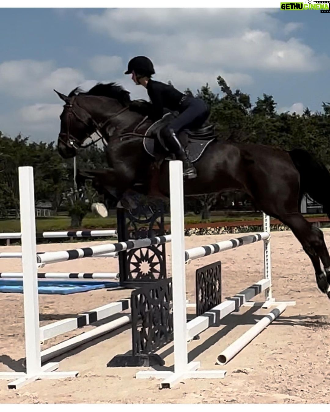 Bella Hadid Instagram - Thank you to all the great trainers and people who allowed me to ride their incredible horses🙏🏽 And my Lucy , Blue , Ami 🤍 I love these animals Wellington International