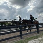 Bella Hadid Instagram - Thank you to all the great trainers and people who allowed me to ride their incredible horses🙏🏽 And my Lucy , Blue , Ami 🤍 I love these animals Wellington International