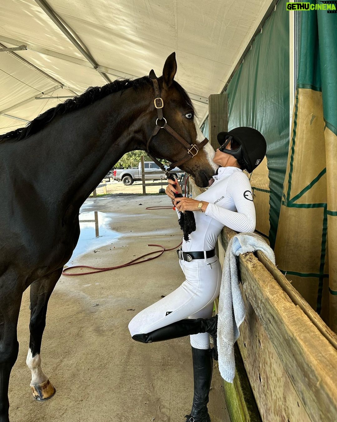 Bella Hadid Instagram - Thank you to all the great trainers and people who allowed me to ride their incredible horses🙏🏽 And my Lucy , Blue , Ami 🤍 I love these animals Wellington International