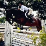 Bella Hadid Instagram - Thank you to all the great trainers and people who allowed me to ride their incredible horses🙏🏽 And my Lucy , Blue , Ami 🤍 I love these animals Wellington International