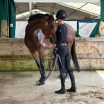 Bella Hadid Instagram - Thank you to all the great trainers and people who allowed me to ride their incredible horses🙏🏽 And my Lucy , Blue , Ami 🤍 I love these animals Wellington International