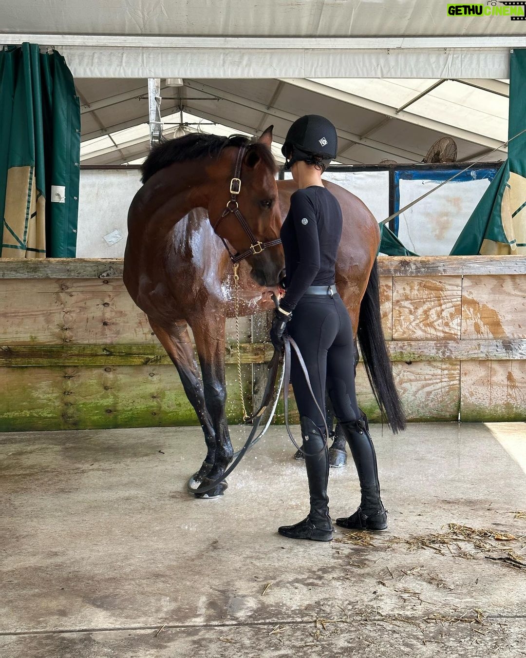 Bella Hadid Instagram - Thank you to all the great trainers and people who allowed me to ride their incredible horses🙏🏽 And my Lucy , Blue , Ami 🤍 I love these animals Wellington International