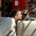 Bella Hadid Instagram -