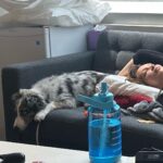 Bella Hadid Instagram - And God Bless my Angel Glizzy P. Beans aka Petunia aka Beans For never leaving my side not for one second