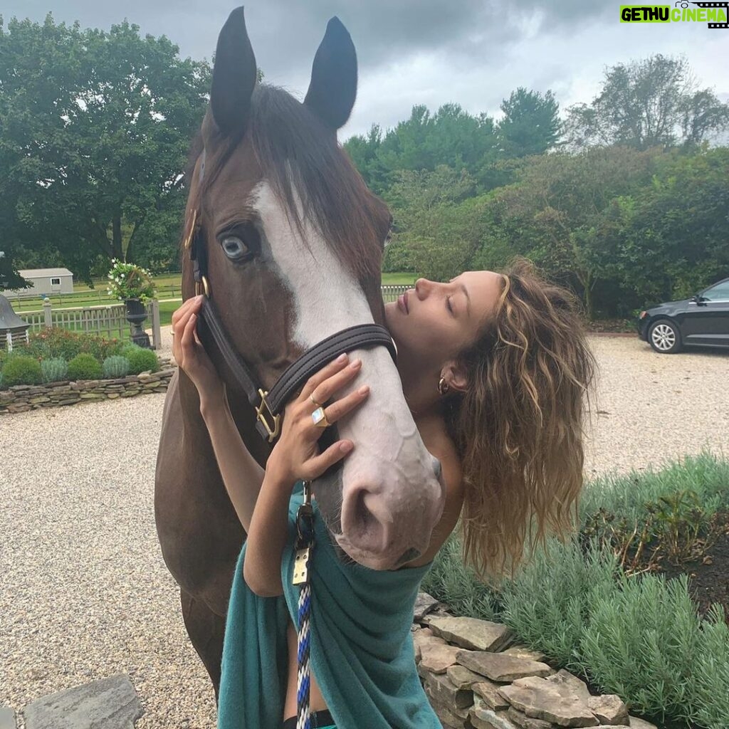 Bella Hadid Instagram - TRIGGER WARNING ⚠️ WHEN U SWIPE RIGHT ~~~~~~~ There is currently a house bill the SAFE ACT HR3355 that can end this NOW! This bill will save our beautiful horses from being shipped in horrible conditions to foreign countries to be brutally slaughtered! This bill was removed from the Full Committee mark up and it MUST to be put back TODAY! Please Chairman Pallone and Speaker Nancy Pelosi add the HR3355 back to the full mark up IMMEDIATELY we must save our beautiful horses for this horrible practice! READ BELOW FOR CONTEXT 🙏🏽😔🙏🏽⚠️⚠️⚠️⚠️⚠️  Over the last 20 years, over a million of our iconic American horses have been shipped to Mexico and Canada, under brutal conditions, only to land on the dinner plates of wealthy European countries. They are packed into stock trailers and deprived of food or water for up to a 7-8 day journey to foreign slaughter facilities. Many will die or be severely injured during this journey, due to the inhumane transport practices. Unfortunately, arrival at the slaughter facility only brings additional horrors for these defenseless horses. They drag the horses unable to stand by binding their hind legs and then hoist them into the air where they are dismembered alive.   For the others, they are whipped into a tiny chute and shot with a captive bolt, which does not work with equines the majority of the time because of the shape of their heads. They are then hung upside down from a pulley attached to their hind legs and are dismembered alive, suffering for up to eight minutes.   American horses have played an integral part in our history, and are majestic, loving animals that do not deserve to be treated like this. They are powerful healers for veterans, people with PTSD, anxiety, depression and a child’s best friend.   The SAFE Act when passed will permanently ban horse slaughter in the US. ( Horse slaughter facilities are currently closed due to a defund amendment). It will also ban the shipment of all equines to slaughter facilities outside of our country.  Thus saving horses from this shameful treatment, and saving the humans who are consuming them from eating meat not intended for human consumption.