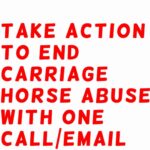 Bella Hadid Instagram - Hi friends ❤️- we need to tell @nyccouncil, @NYCSpeakerAdams and @NYCMayor to pass legislation (Intro 573) (thank you @bobholdennyc )) to phase out cruel carriage horses, protect them while it’s still here and eventually replace it with a humane & electric alternative. This has been going on for WAY too long in this kind of environment….Another sick, malnourished carriage horse collapsed in distress on the hot pavement of New York City while his driver whipped him repeatedly….. We are also calling on the Manhattan District Attorney & the NYPD to investigate criminal animal abuse charges against Ian Mckeever for his abusive behavior. Ryder needs immediate help and to be released from his abuser. Can anyone comment below if they know where he is/ have any information on Ryder please? It's barbaric to force horses like Ryder to pull heavy carriages in extreme heat in the busiest part of the busiest city in America without a place to break or eat. We have to do something now. This should have been done years ago. Eric Adams, The world is watching!! Please do what is right for these animals. Take action. LINK TO TAKE ACTION: nyclass.org/StopHorseAbuse