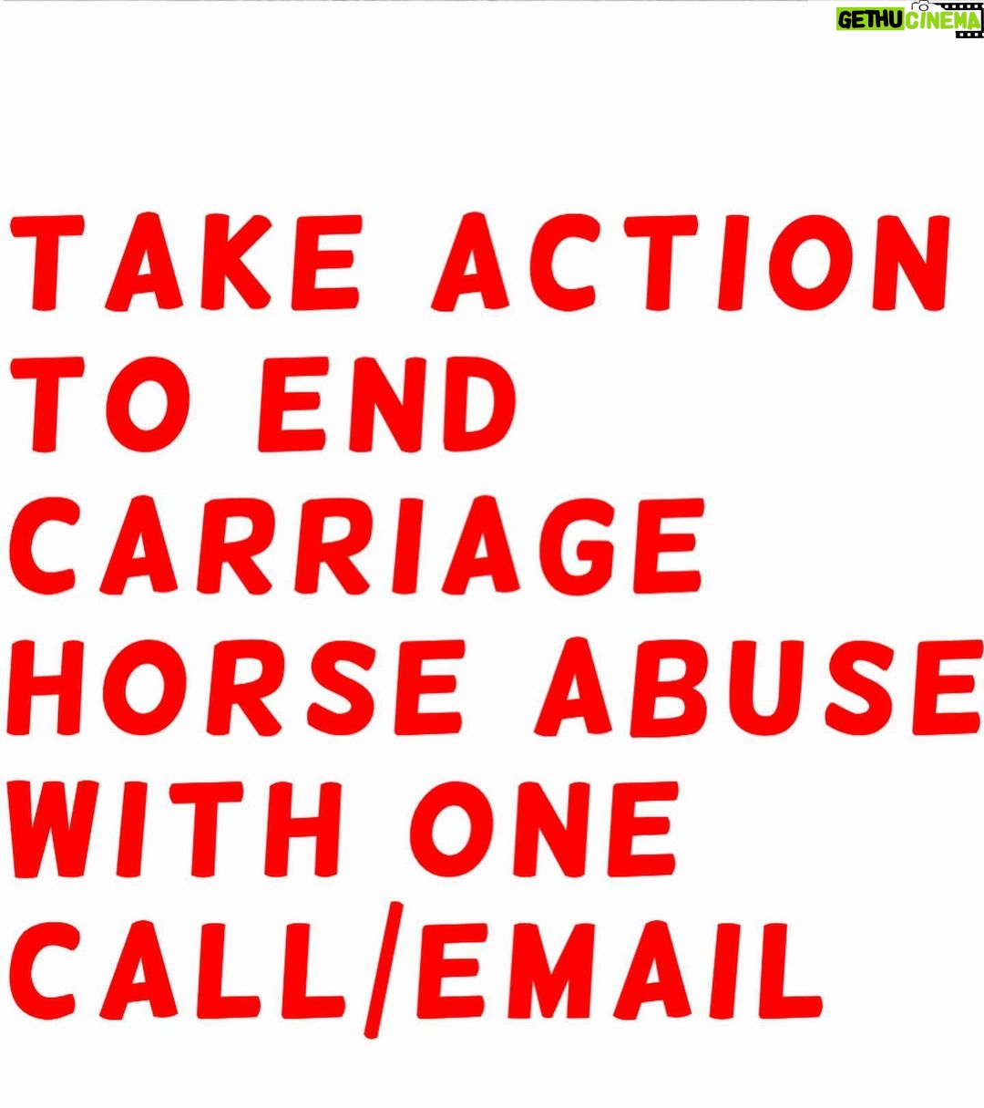 Bella Hadid Instagram - Hi friends ❤️- we need to tell @nyccouncil, @NYCSpeakerAdams and @NYCMayor to pass legislation (Intro 573) (thank you @bobholdennyc )) to phase out cruel carriage horses, protect them while it’s still here and eventually replace it with a humane & electric alternative. This has been going on for WAY too long in this kind of environment….Another sick, malnourished carriage horse collapsed in distress on the hot pavement of New York City while his driver whipped him repeatedly….. We are also calling on the Manhattan District Attorney & the NYPD to investigate criminal animal abuse charges against Ian Mckeever for his abusive behavior. Ryder needs immediate help and to be released from his abuser. Can anyone comment below if they know where he is/ have any information on Ryder please? It's barbaric to force horses like Ryder to pull heavy carriages in extreme heat in the busiest part of the busiest city in America without a place to break or eat. We have to do something now. This should have been done years ago. Eric Adams, The world is watching!! Please do what is right for these animals. Take action. LINK TO TAKE ACTION: nyclass.org/StopHorseAbuse
