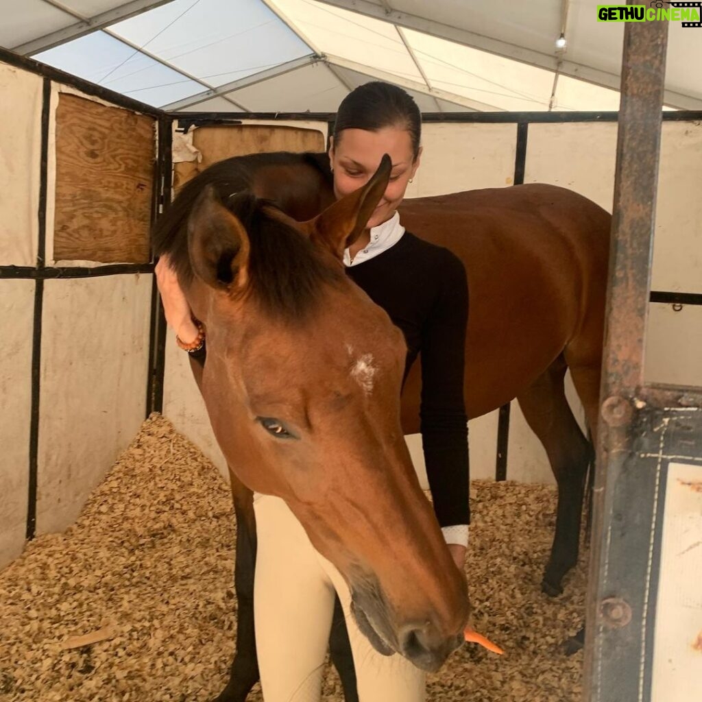 Bella Hadid Instagram - My little flying mare, Amira 🤍👼🤍 Wellington International