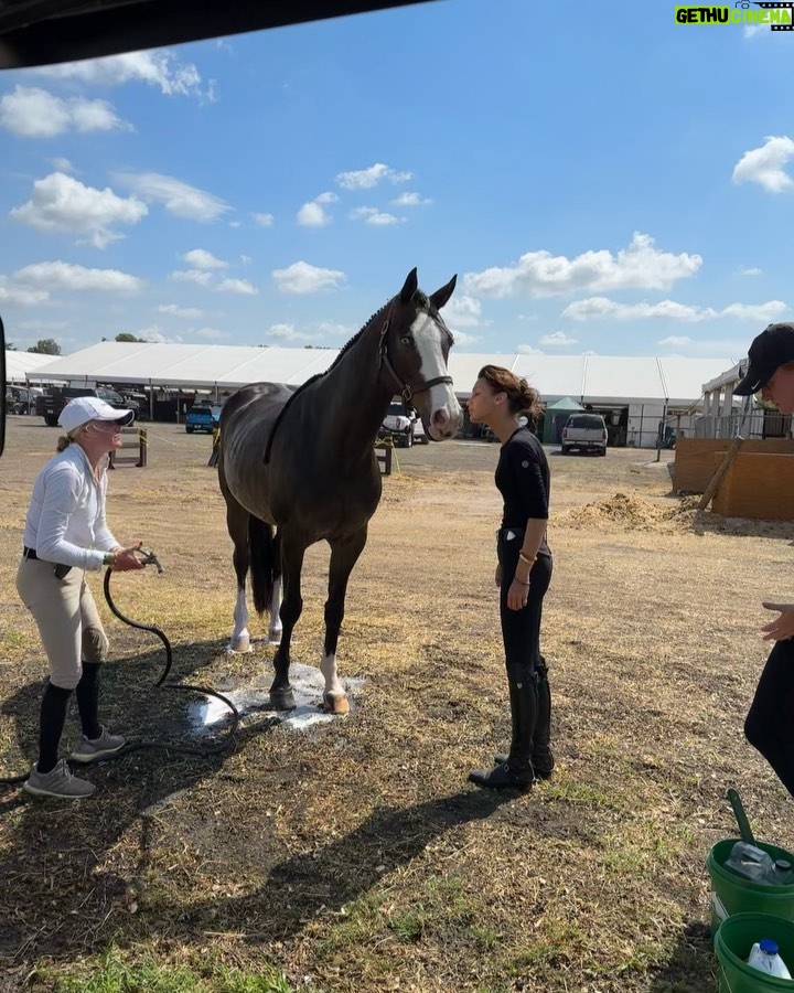 Bella Hadid Instagram - Thank you to all the great trainers and people who allowed me to ride their incredible horses🙏🏽 And my Lucy , Blue , Ami 🤍 I love these animals Wellington International