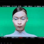 Bella Hadid Instagram -