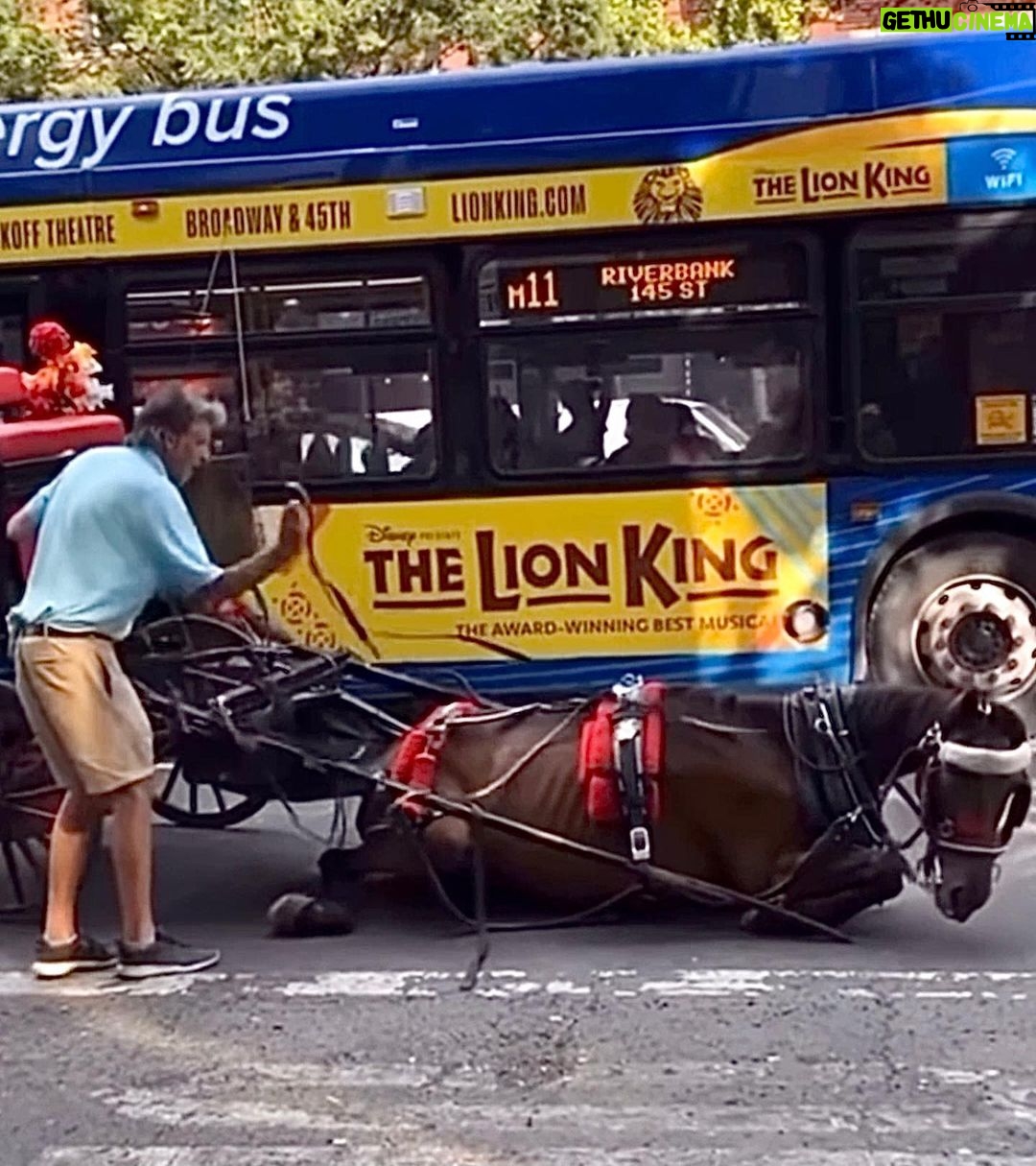 Bella Hadid Instagram - Hi friends ❤️- we need to tell @nyccouncil, @NYCSpeakerAdams and @NYCMayor to pass legislation (Intro 573) (thank you @bobholdennyc )) to phase out cruel carriage horses, protect them while it’s still here and eventually replace it with a humane & electric alternative. This has been going on for WAY too long in this kind of environment….Another sick, malnourished carriage horse collapsed in distress on the hot pavement of New York City while his driver whipped him repeatedly….. We are also calling on the Manhattan District Attorney & the NYPD to investigate criminal animal abuse charges against Ian Mckeever for his abusive behavior. Ryder needs immediate help and to be released from his abuser. Can anyone comment below if they know where he is/ have any information on Ryder please? It's barbaric to force horses like Ryder to pull heavy carriages in extreme heat in the busiest part of the busiest city in America without a place to break or eat. We have to do something now. This should have been done years ago. Eric Adams, The world is watching!! Please do what is right for these animals. Take action. LINK TO TAKE ACTION: nyclass.org/StopHorseAbuse