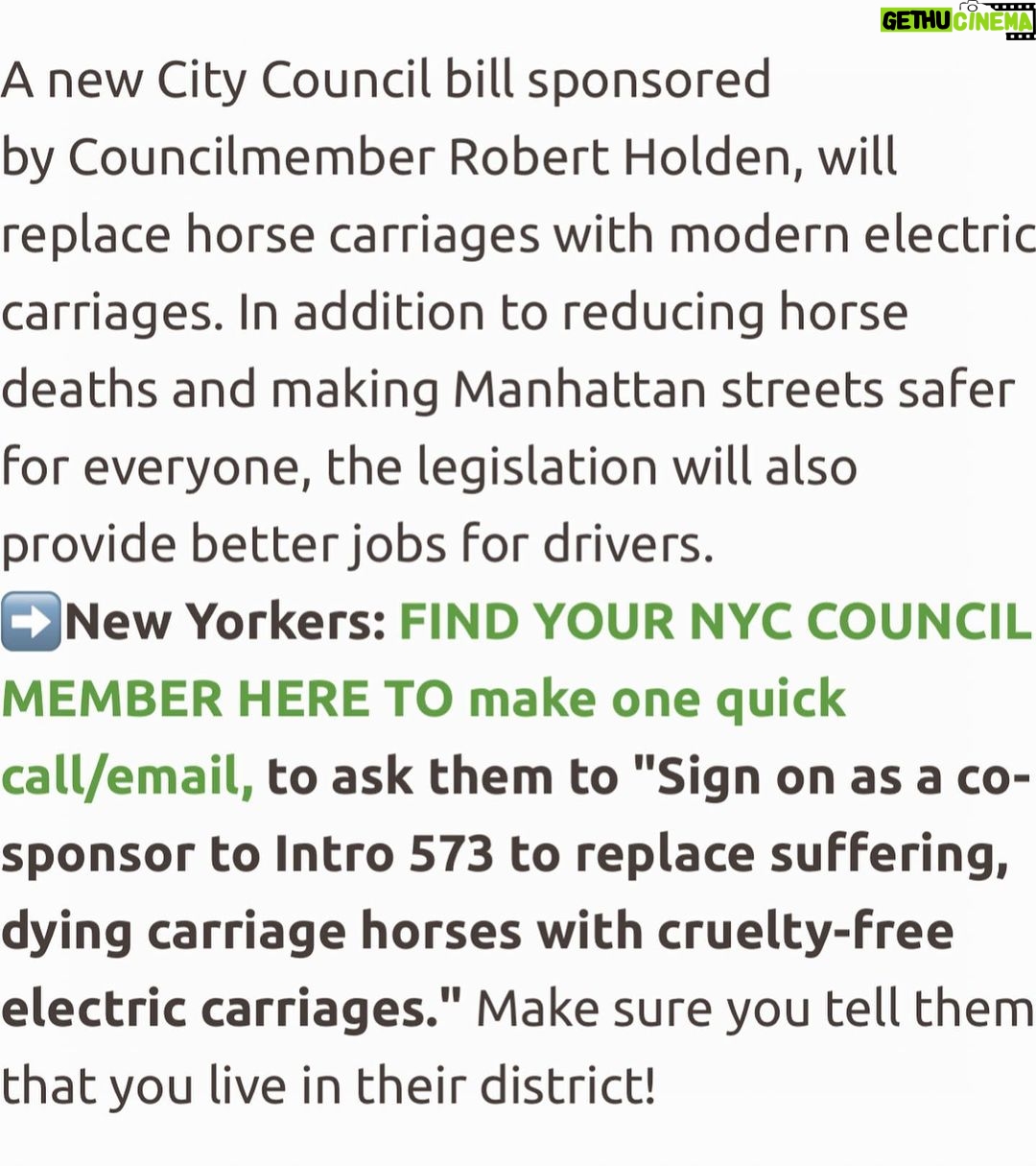 Bella Hadid Instagram - Hi friends ❤️- we need to tell @nyccouncil, @NYCSpeakerAdams and @NYCMayor to pass legislation (Intro 573) (thank you @bobholdennyc )) to phase out cruel carriage horses, protect them while it’s still here and eventually replace it with a humane & electric alternative. This has been going on for WAY too long in this kind of environment….Another sick, malnourished carriage horse collapsed in distress on the hot pavement of New York City while his driver whipped him repeatedly….. We are also calling on the Manhattan District Attorney & the NYPD to investigate criminal animal abuse charges against Ian Mckeever for his abusive behavior. Ryder needs immediate help and to be released from his abuser. Can anyone comment below if they know where he is/ have any information on Ryder please? It's barbaric to force horses like Ryder to pull heavy carriages in extreme heat in the busiest part of the busiest city in America without a place to break or eat. We have to do something now. This should have been done years ago. Eric Adams, The world is watching!! Please do what is right for these animals. Take action. LINK TO TAKE ACTION: nyclass.org/StopHorseAbuse
