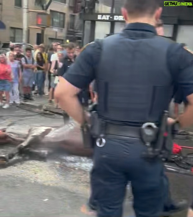 Bella Hadid Instagram - Hi friends ❤️- we need to tell @nyccouncil, @NYCSpeakerAdams and @NYCMayor to pass legislation (Intro 573) (thank you @bobholdennyc )) to phase out cruel carriage horses, protect them while it’s still here and eventually replace it with a humane & electric alternative. This has been going on for WAY too long in this kind of environment….Another sick, malnourished carriage horse collapsed in distress on the hot pavement of New York City while his driver whipped him repeatedly….. We are also calling on the Manhattan District Attorney & the NYPD to investigate criminal animal abuse charges against Ian Mckeever for his abusive behavior. Ryder needs immediate help and to be released from his abuser. Can anyone comment below if they know where he is/ have any information on Ryder please? It's barbaric to force horses like Ryder to pull heavy carriages in extreme heat in the busiest part of the busiest city in America without a place to break or eat. We have to do something now. This should have been done years ago. Eric Adams, The world is watching!! Please do what is right for these animals. Take action. LINK TO TAKE ACTION: nyclass.org/StopHorseAbuse