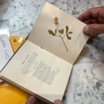 Bella Hadid Instagram -