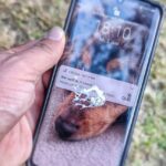 Bernhard Hoëcker Instagram - Hmmm… ganz Deutschland freut sich auf die @werweissdennsowas_official … bis auf… dieses Federtier… Vielleicht sollte es mehr Fragen aus der Kategorie „Vögel“ geben. @kaipflaume @elton_tv #werweissdennsowas