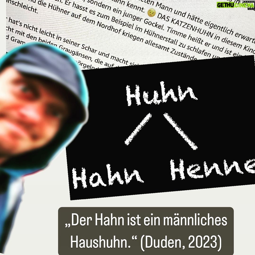 Bernhard Hoëcker Instagram - Huhuhn! Wir kriegen immer wieder Mails und Kommentare, dass unser HUHN Timme ein Junge sei, und deshalb ein Hahn wäre. „Katzenhuhn“ sei also falsch. Vielen Dank für die genaue Betrachtung unserer biologischen Korrektheit auf dem Nordhof. In diesem Fall liegen wir allerdings richtig. Hühner heissen sie alle. Es wird dann zwischen der weiblichen Henne und dem männlichen Hahn unterschieden. Auch Dominik hat sich grafisch auf dem schmalen Grad der nochnichthahnseiung bewegt. Und was Timme genau ist, spielt eh keine Rolle. Das Katzenhuhn hat genug mit seinen Abenteuern zu tun, da kann es sich darüber nun wirklich keine Gedanken machen. Aber bitte weiter auf solche Sachen achten. Danke Euch. #daskatzenhuhn @thienemannesslinger_kinderbuch @dominikruppillustration Mehr Abenteuer ab Oktober in Te 2