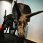 Bernhard Hoëcker Instagram - Vor bestimmt 45 Jahren war ich das letzte mal hier, Der dreihörnige Kollege ist kein bisschen älter geworden. Vielleicht liegt es an der ausgewogenen Ernährung und der sparsam eingesetzten Bewegung. @senckenbergworld #senckenbergmuseum #triceratops
