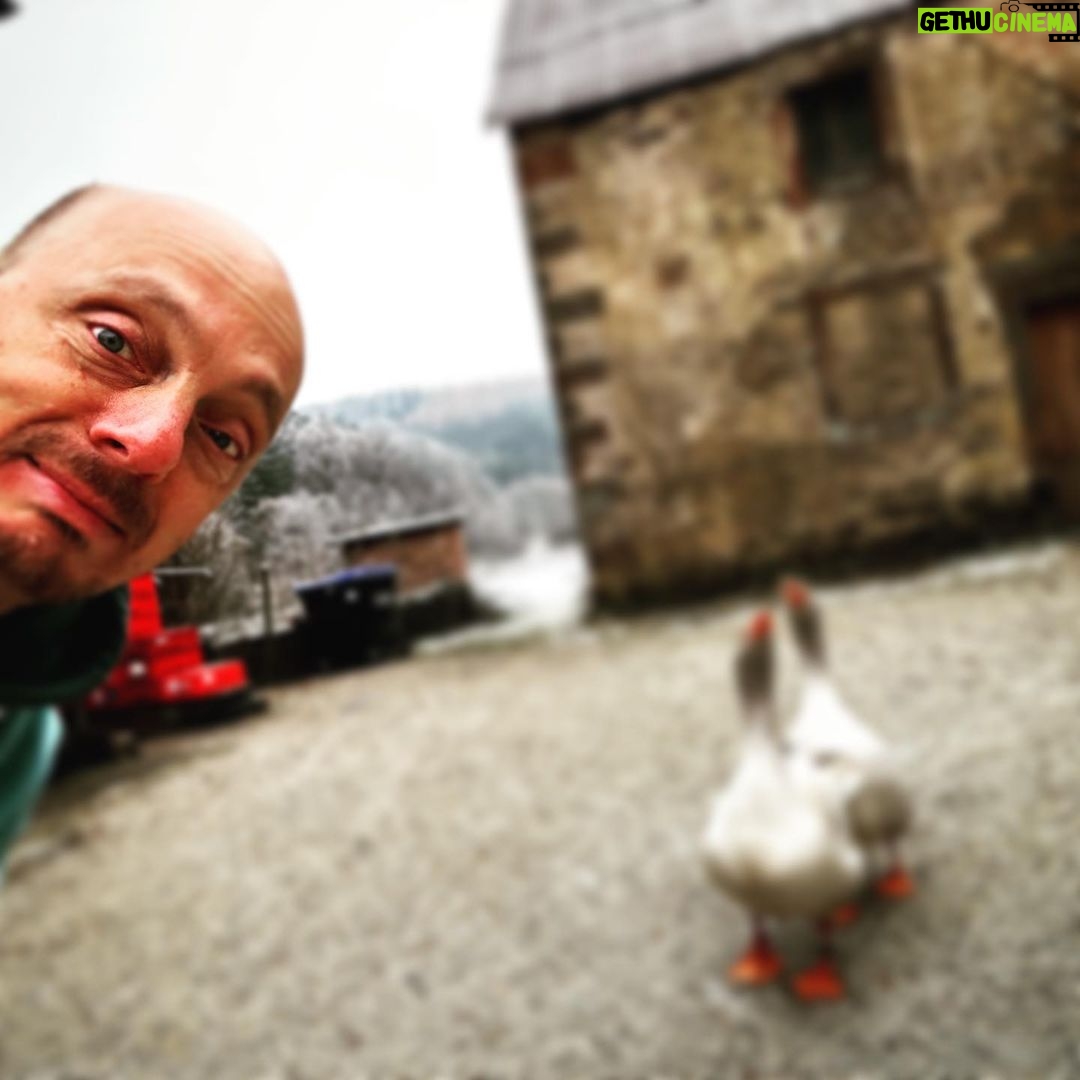Bernhard Hoëcker Instagram - Ein Besuch bei Grimm und Gram auf dem Nordhof, bzw der Kneispermühle. Mit der Besten Salatsosse überhaubt. #daskatzenhuhn @kneispermuehle #grimm #gram