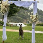 Beth Spiby Instagram - Weddings, kangaroos, skinny dippings, and making new friends ✅ Jervis Bay