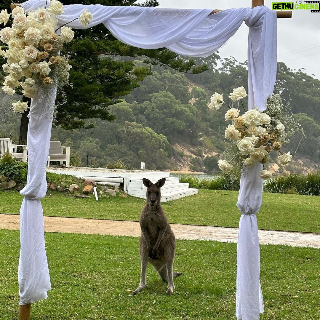 Beth Spiby Instagram - Weddings, kangaroos, skinny dippings, and making new friends ✅ Jervis Bay