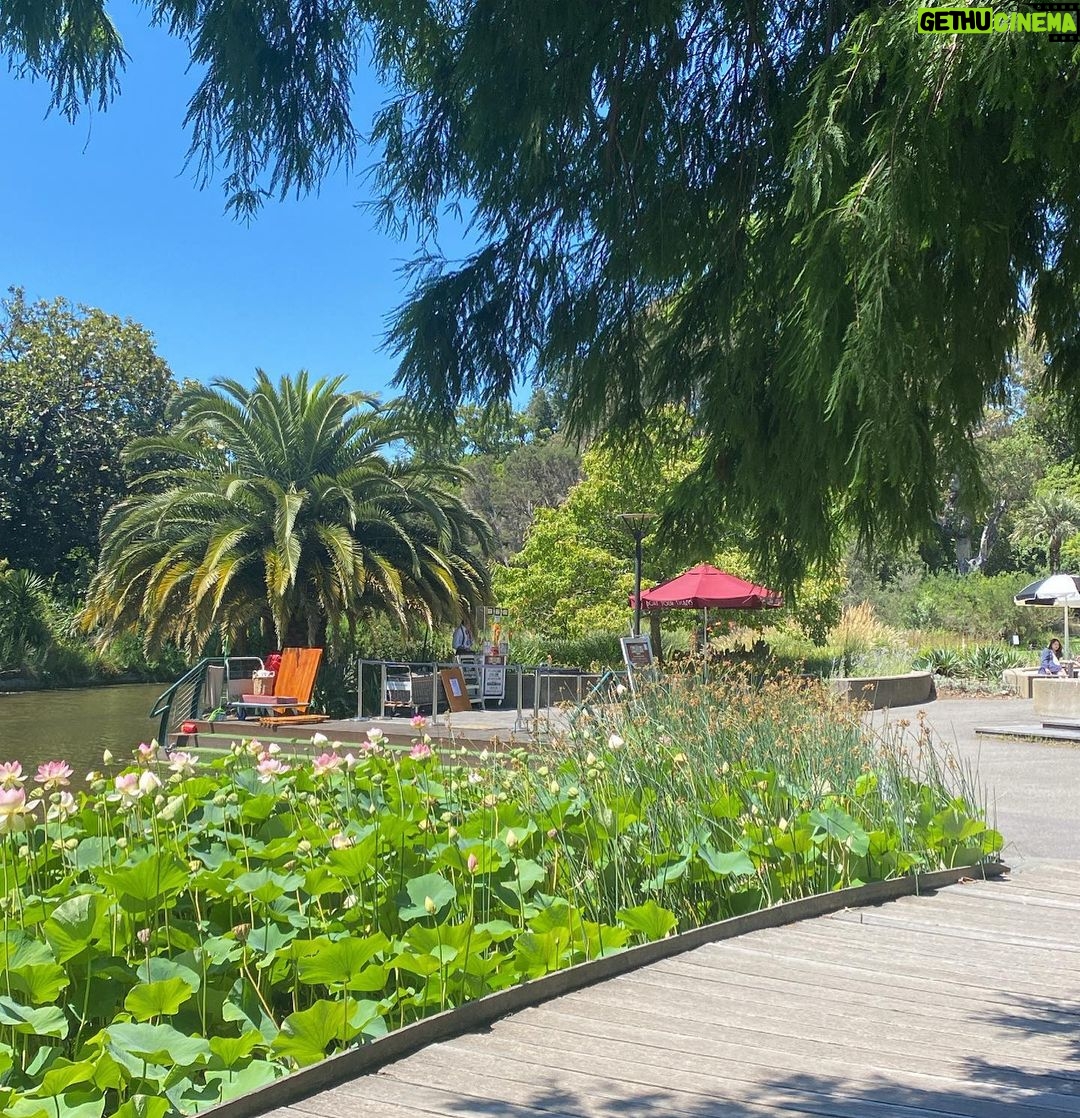 Beth Spiby - 822 Likes - 2 weeks in Melbourne ❤️ and Adelaide. And Sydney 🤣