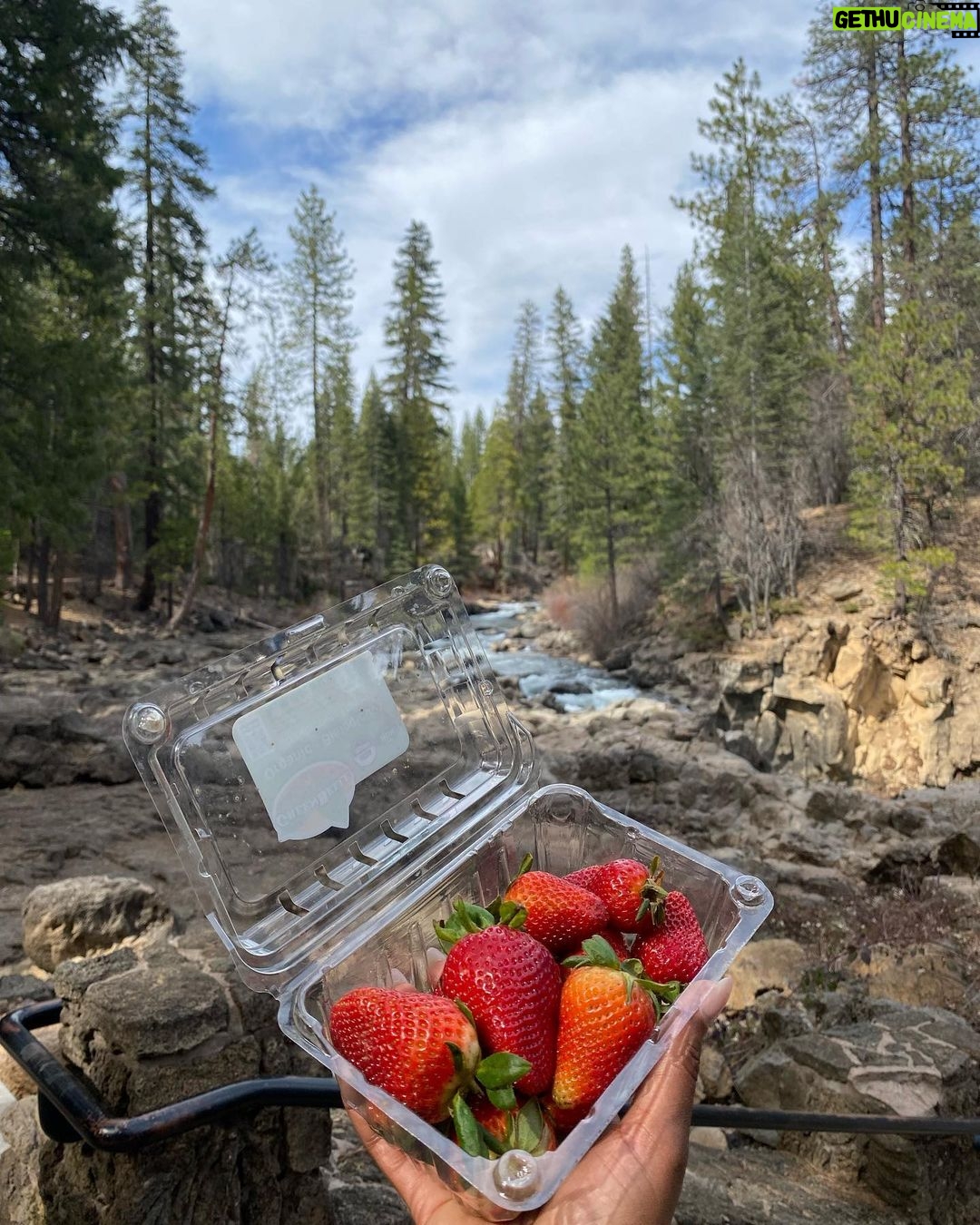 Bethany Clayton Instagram - Little dump from this weekends cabin trip to Mccloud Falls 🏔 McCloud Falls