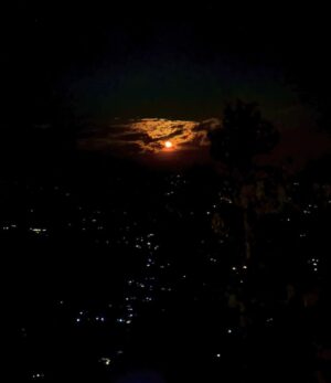 Bhuvan Bam Instagram - Day 1 dump! ☀️

1. Dinner puppy ready
2. Sunrise from my window
3. Aloo Puri for breakfast
4. Red Moon Night
5. How I want to be
6. What I want to do 

#NewYear #Hills