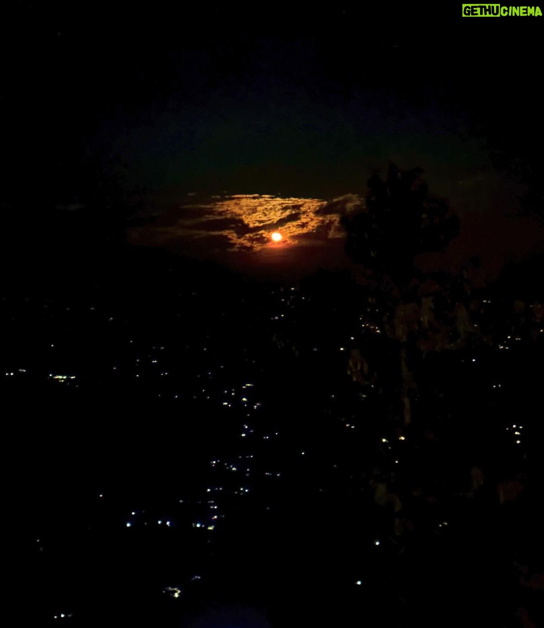 Bhuvan Bam - 1.9 Million Likes - Day 1 dump! ☀️
1. Dinner puppy ready
2. Sunrise from my window
3. Aloo Puri for breakfast
4. Red Moon Night
5. How I want to be
6. What I want to do
#NewYear #Hills