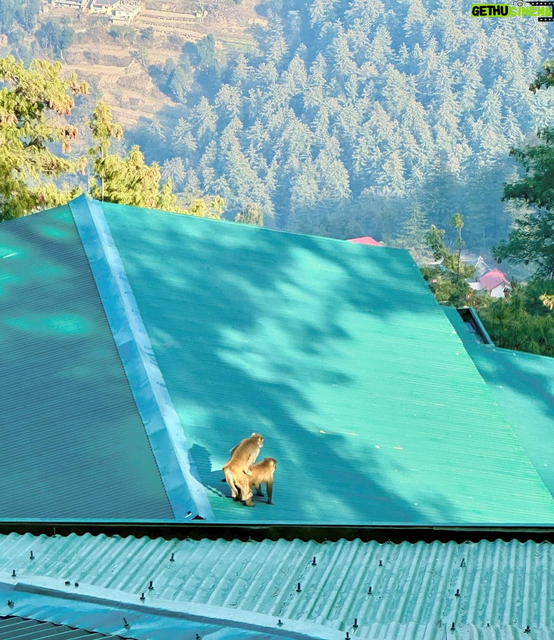 Bhuvan Bam - 1.9 Million Likes - Day 1 dump! ☀️
1. Dinner puppy ready
2. Sunrise from my window
3. Aloo Puri for breakfast
4. Red Moon Night
5. How I want to be
6. What I want to do
#NewYear #Hills