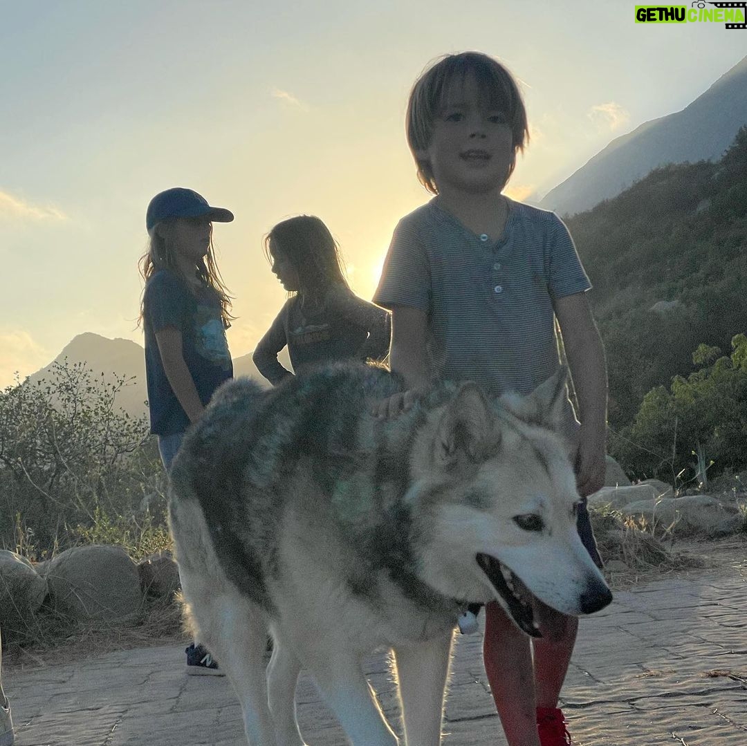 Bianca Roe - 2K Likes - New Beginnings... In the Field Family turns the page onto the next chapter. Land Regeneration, Ranch Life.. baby steps for now as we learn from those who devote themselves to a sustainable path forward. Thank you for being there for us.. @ojaipermaculture @shepherdess.land.and.livestock @farmerandthecookojai @kisstheground @ojaioliveoil @regenerateojai we thank the elders who came before us and ask the Chumash for their blessing - thank you Julie for coming to visit us, please protect this land and our beloved Ojai Valley: 📷 @bluegabor