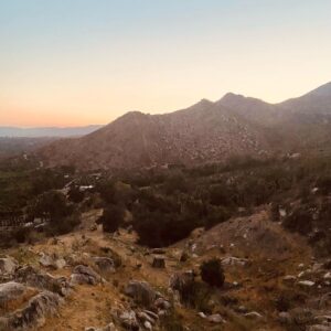 Bianca Roe Instagram - New Beginnings... In the Field Family turns the page onto the next chapter. Land Regeneration, Ranch Life.. baby steps for now as we learn from those who devote themselves to a sustainable path forward. Thank you for being there for us.. @ojaipermaculture @shepherdess.land.and.livestock @farmerandthecookojai @kisstheground @ojaioliveoil @regenerateojai we thank the elders who came before us and ask the Chumash for their blessing - thank you Julie for coming to visit us, please protect this land and our beloved Ojai Valley: 📷 @bluegabor