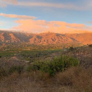 Bianca Roe Instagram - Ojai Staycation.. Closing out the last days of this decade. We’ve chosen to connect with the land that surrounds us, with produce from the local farmers markets.. living with a small foot print and connecting with each other. Home goods now available to purchase please email info@inthefieldojai.com Ojai, California