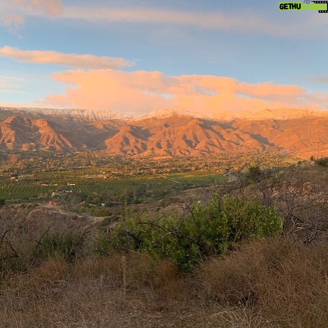 Bianca Roe Instagram - Ojai Staycation.. Closing out the last days of this decade. We’ve chosen to connect with the land that surrounds us, with produce from the local farmers markets.. living with a small foot print and connecting with each other. Home goods now available to purchase please email info@inthefieldojai.com Ojai, California
