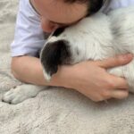 Billie Eilish Instagram – pepper. my life long best friend. i will see you again someday sweet girl. you made it 15 years you fucking beast. :’) i love you. rest easy mama, i’ll miss you forever.🫀this is a really hard day