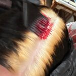 Billie Eilish Instagram – 💉