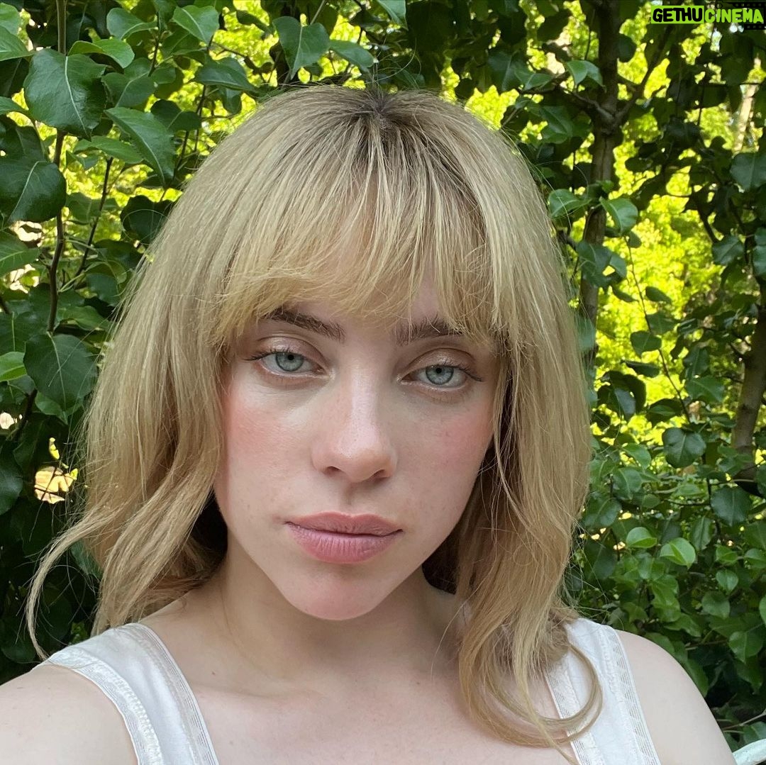 Billie Eilish Instagram - :’) last may. so much joy mannnnn @domfishback you are my idol. watching dom do her fuckin thing was one of the most amazing experiences of my life. this girl is fucking unbelievable. will cherish you forever dom love you so much. i feel so honored to be a part of something so special, surrounded by PEOPLE so special. @donaldglover if it wasn’t for you i wouldn’t be the artist or person i am today. @ibraake & @janinenabers you rock my socks off. truly can’t BELIEVE my reality sometimes. STREAM “SWARM”!! @swarmonprime 🐝🐝🐝