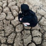 Billie Eilish Instagram - looking for 🐸