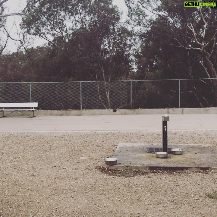 Billy Boyd Instagram - Dog park @weebobbyjohnston #fastterrier #tuesdaymorning #weebobbyjohnston #myweedug