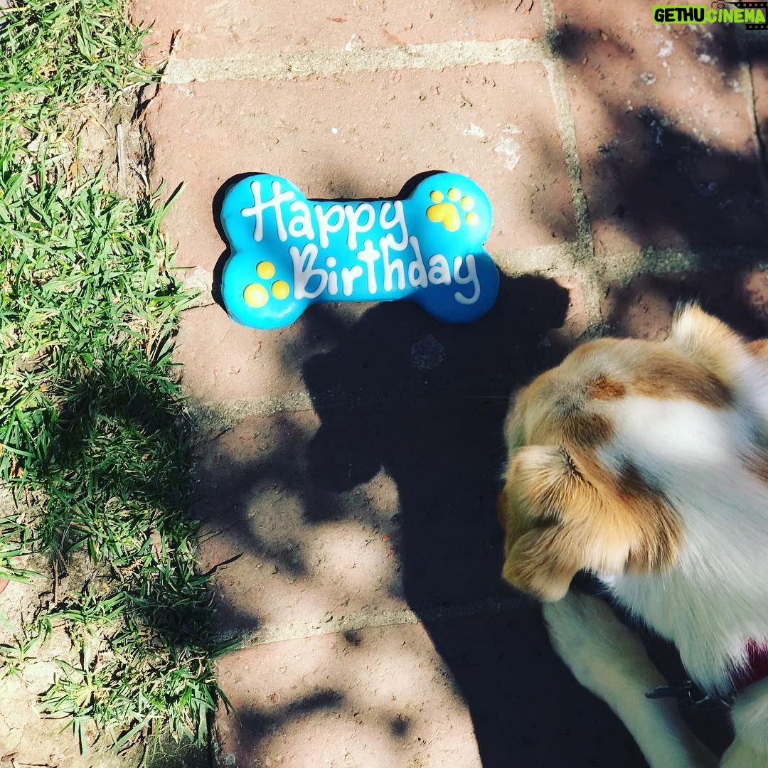 Billy Boyd Instagram - For anyone having a birthday today. Have a great one! I hope you have the greatest year ever and a blue birthday cookie as magical as @weebobbyjohnston . He had one last week and he’s still talking about it. #birthday #bluecookies #weebobbyjohnston #oneorseven