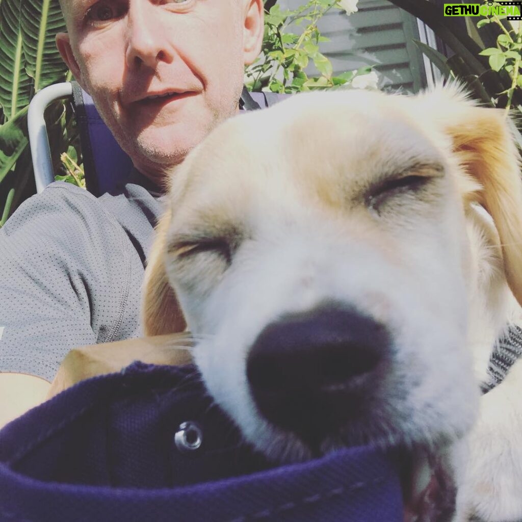Billy Boyd Instagram - Happy birthday @weebobbyjohnston . That’s almost a year ago when you came to live in our house?! Thank you for all the love and laughs, you’re a cracker! Happy Birthday Bobby. #myweedug #puregallus #weebobbyjohnston #happybirthday