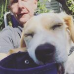 Billy Boyd Instagram – Happy birthday @weebobbyjohnston . That’s almost a year ago when you came to live in our house?! Thank you for all the love and laughs, you’re a cracker! Happy Birthday Bobby.  #myweedug #puregallus #weebobbyjohnston #happybirthday