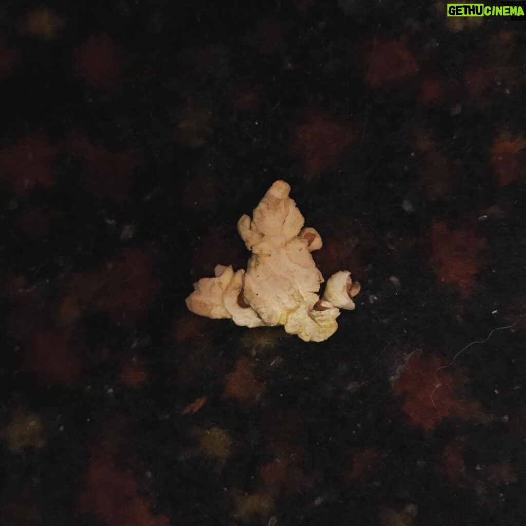 Billy Boyd Instagram - Went to the cinema and saw this piece of squashed popcorn that looks like a frog. What a world we live in . #popcornfrogs