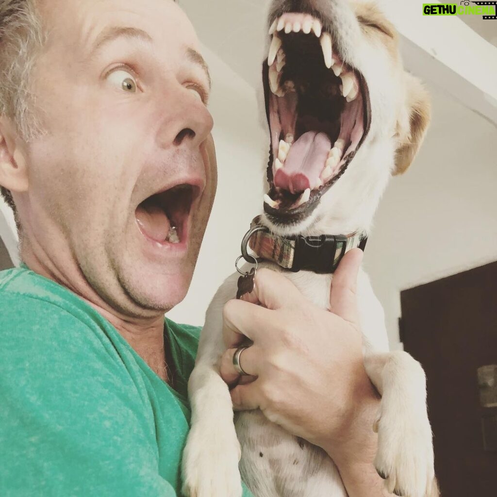 Billy Boyd Instagram - Bob was fierce this morning. Like a lion! @weebobbyjohnston #dog #liondog #fierce